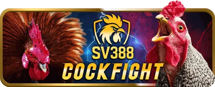 Chính sách chống cờ bạc vị thành niên của VG99