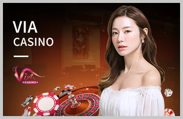 Người chơi Baccarat phân tích chiến thuật và quản lý vốn